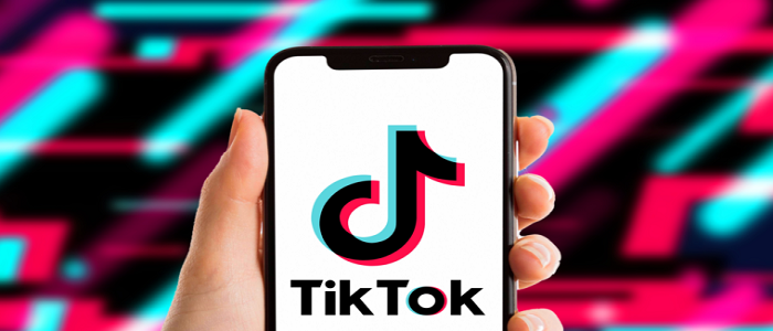 trabalho digitador online mercado pago｜Pesquisa do TikTok